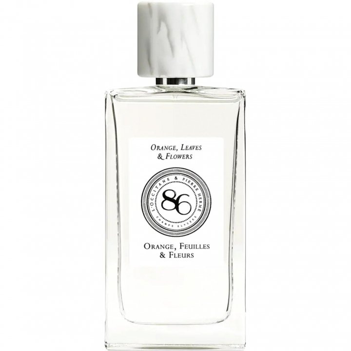 Orange, Feuilles & Fleurs